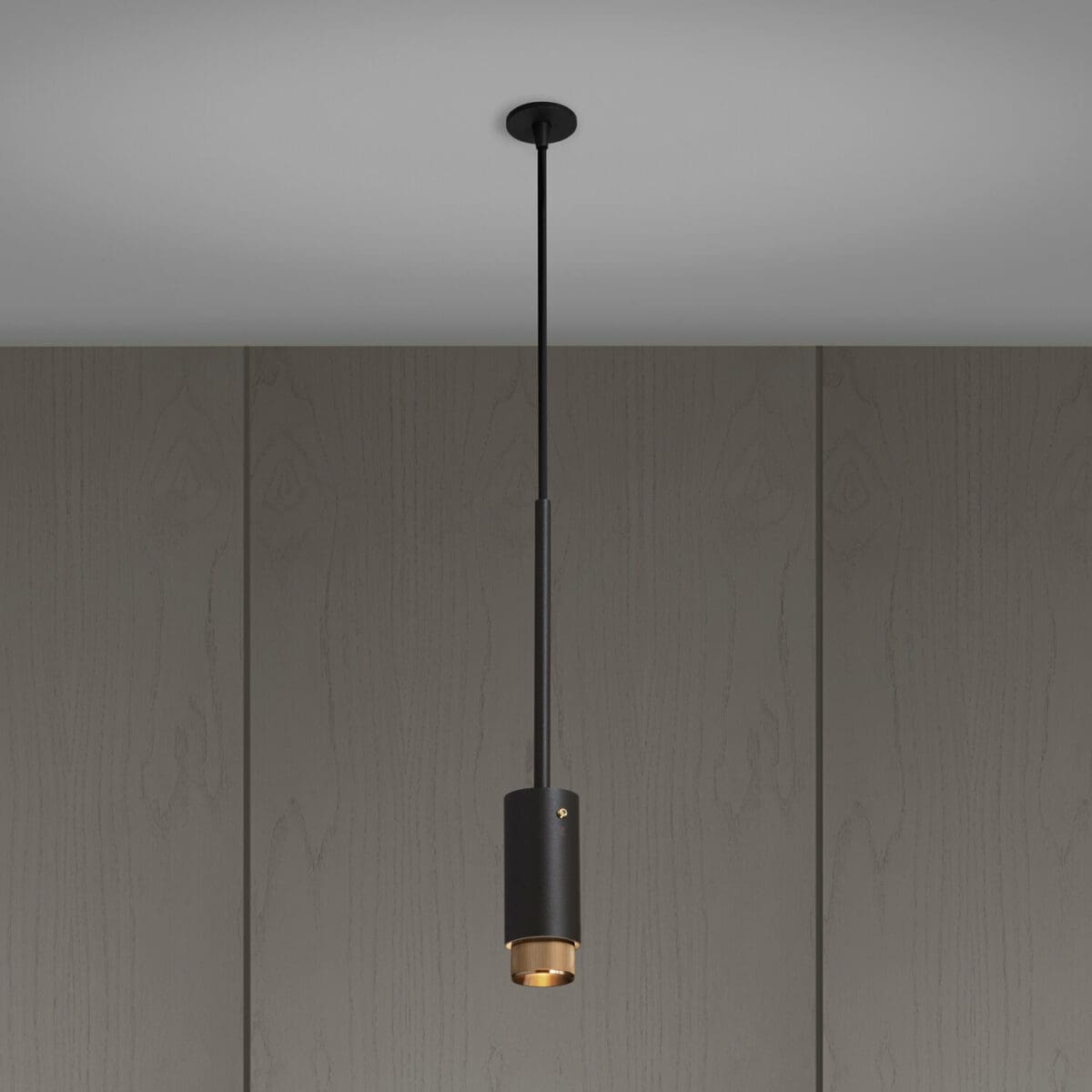 1. Exhaust Pendant Graphite Brass Lit